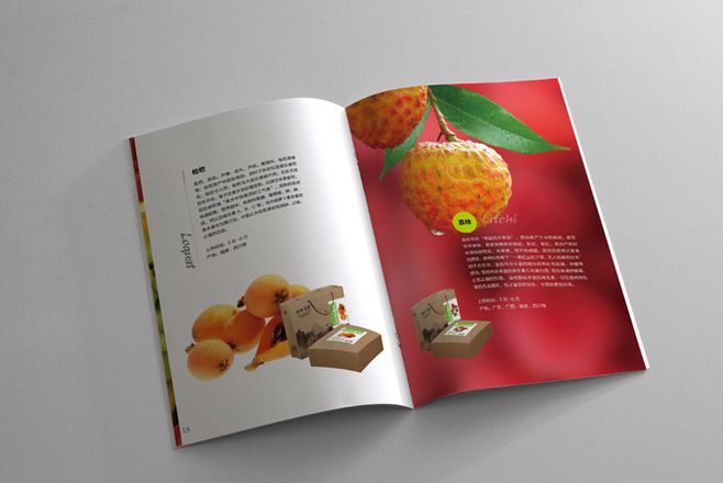 宣傳冊設(shè)計一般一頁多少錢？宣傳冊的特點有哪些？