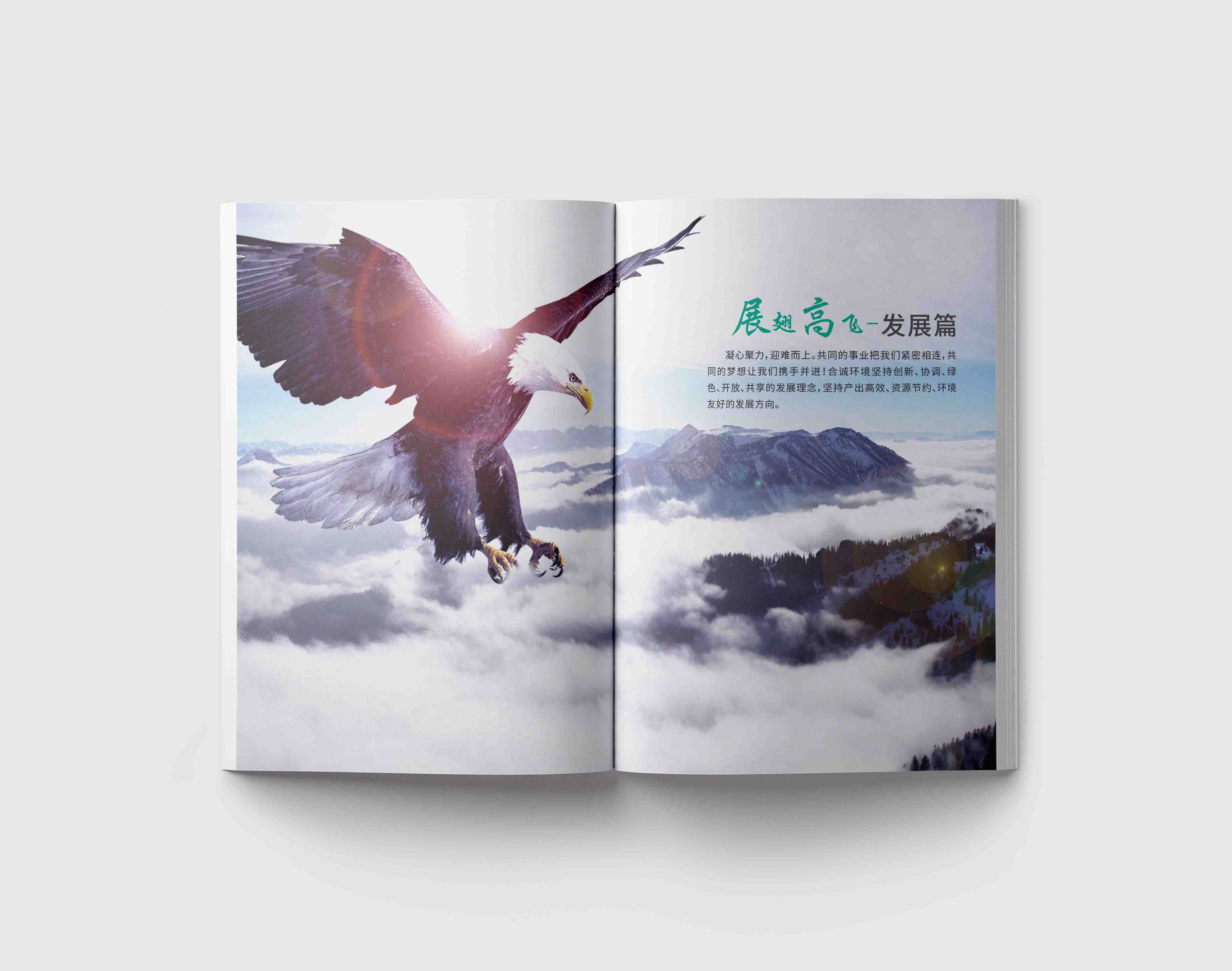 企業(yè)宣傳畫冊設(shè)計(jì)