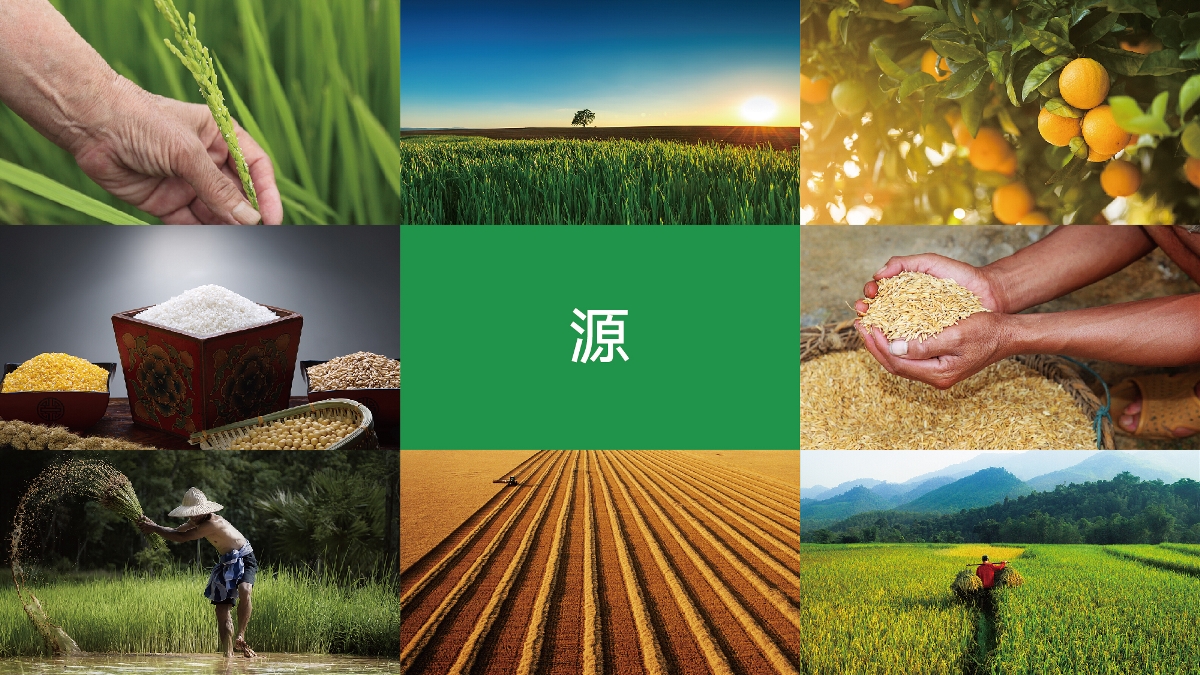 農(nóng)產(chǎn)品品牌設(shè)計(jì)技巧有哪些？怎樣塑造品牌形象