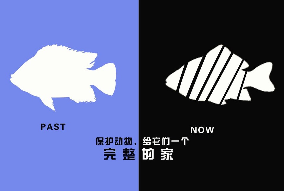 廣告設(shè)計(jì)制作有哪些要求？有哪些注意事項(xiàng)？