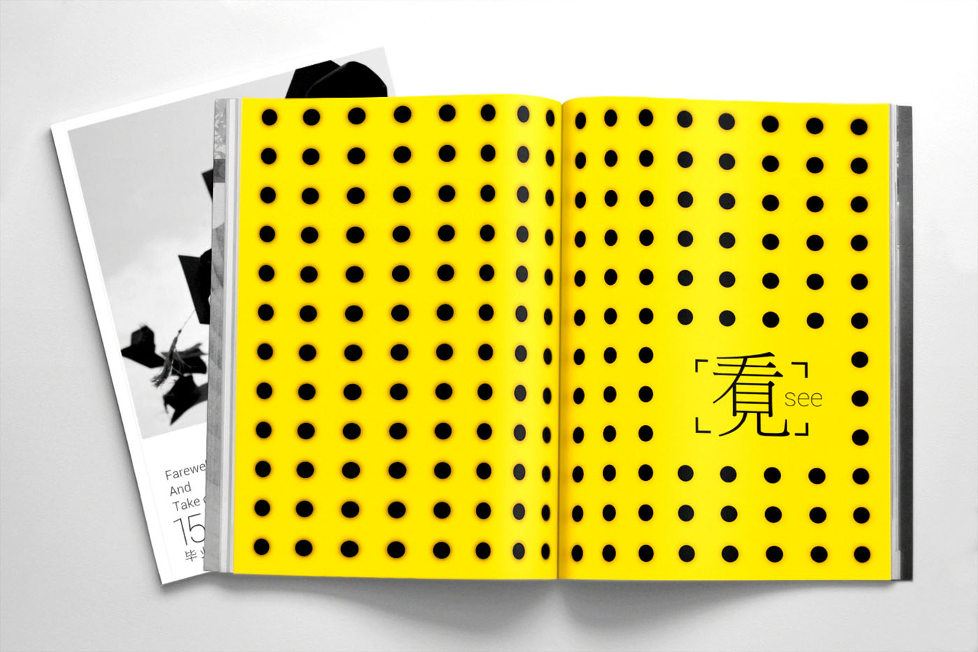 大學(xué)畢業(yè)紀(jì)念冊(cè)設(shè)計(jì)，畢業(yè)紀(jì)念冊(cè)設(shè)計(jì)公司