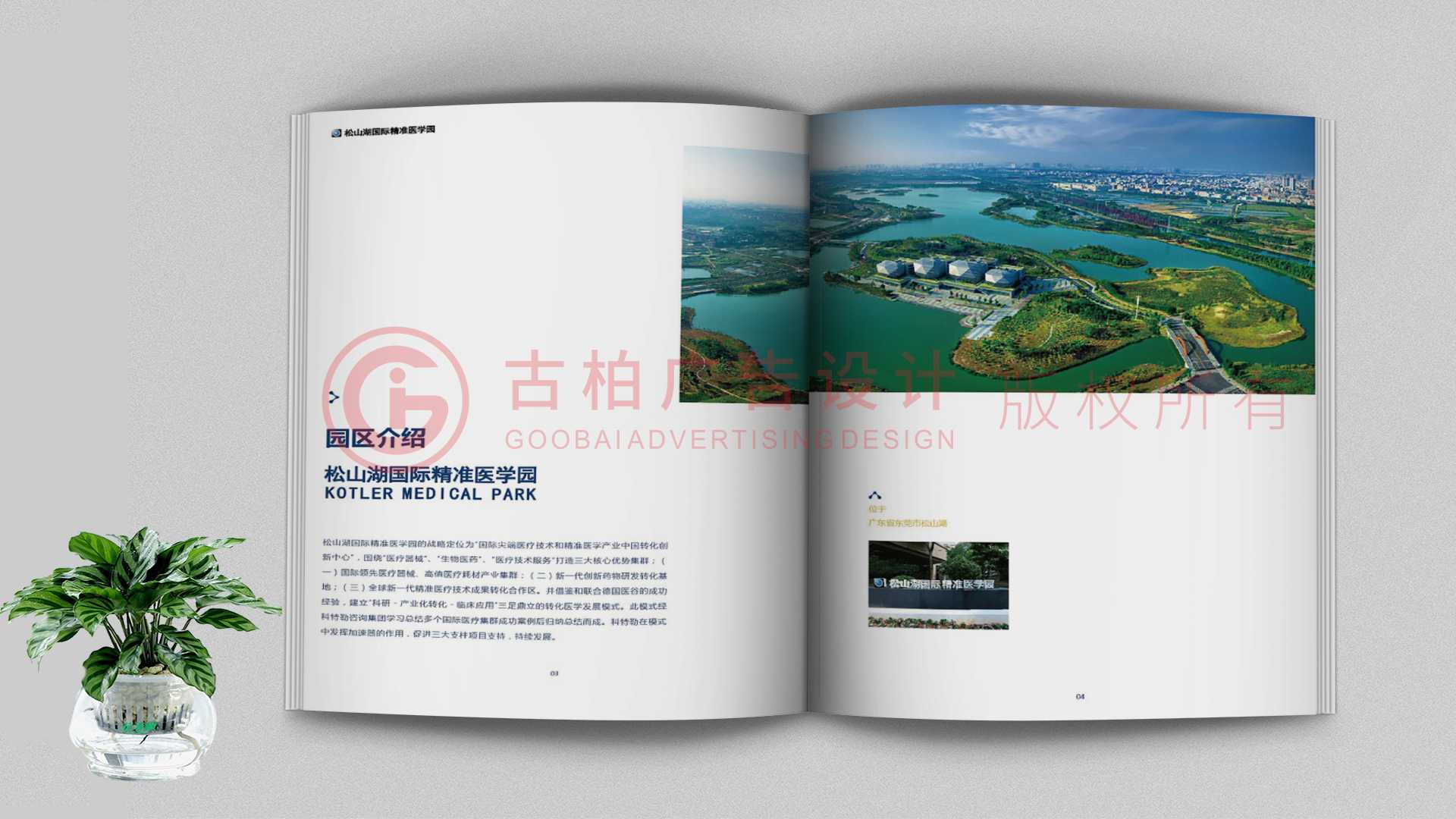 一本聚會(huì)紀(jì)念冊(cè)該如何通過(guò)排版來(lái)提升整體的美觀性？