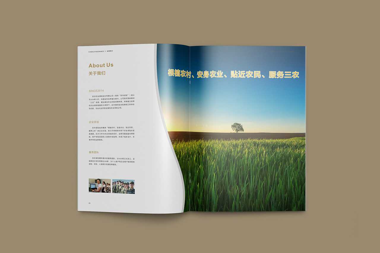 成都企業(yè)為什么要選擇高端宣傳冊設(shè)計公司呢？
