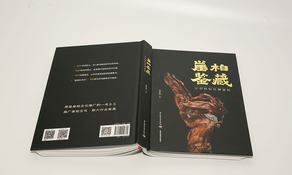 怎么學(xué)宣傳冊設(shè)計(jì)做多久？