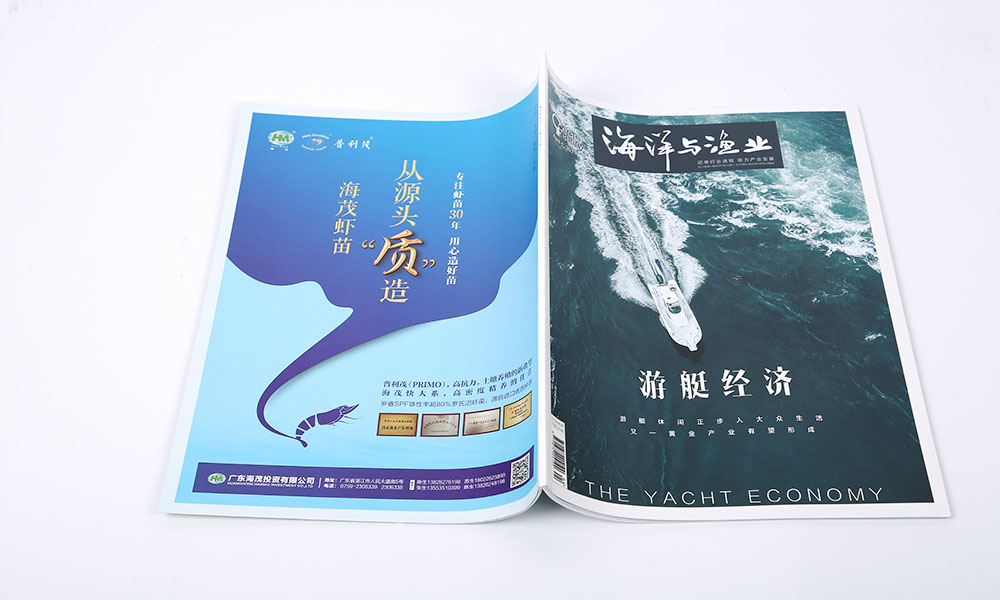 一個(gè)畫冊(cè)設(shè)計(jì)如何？